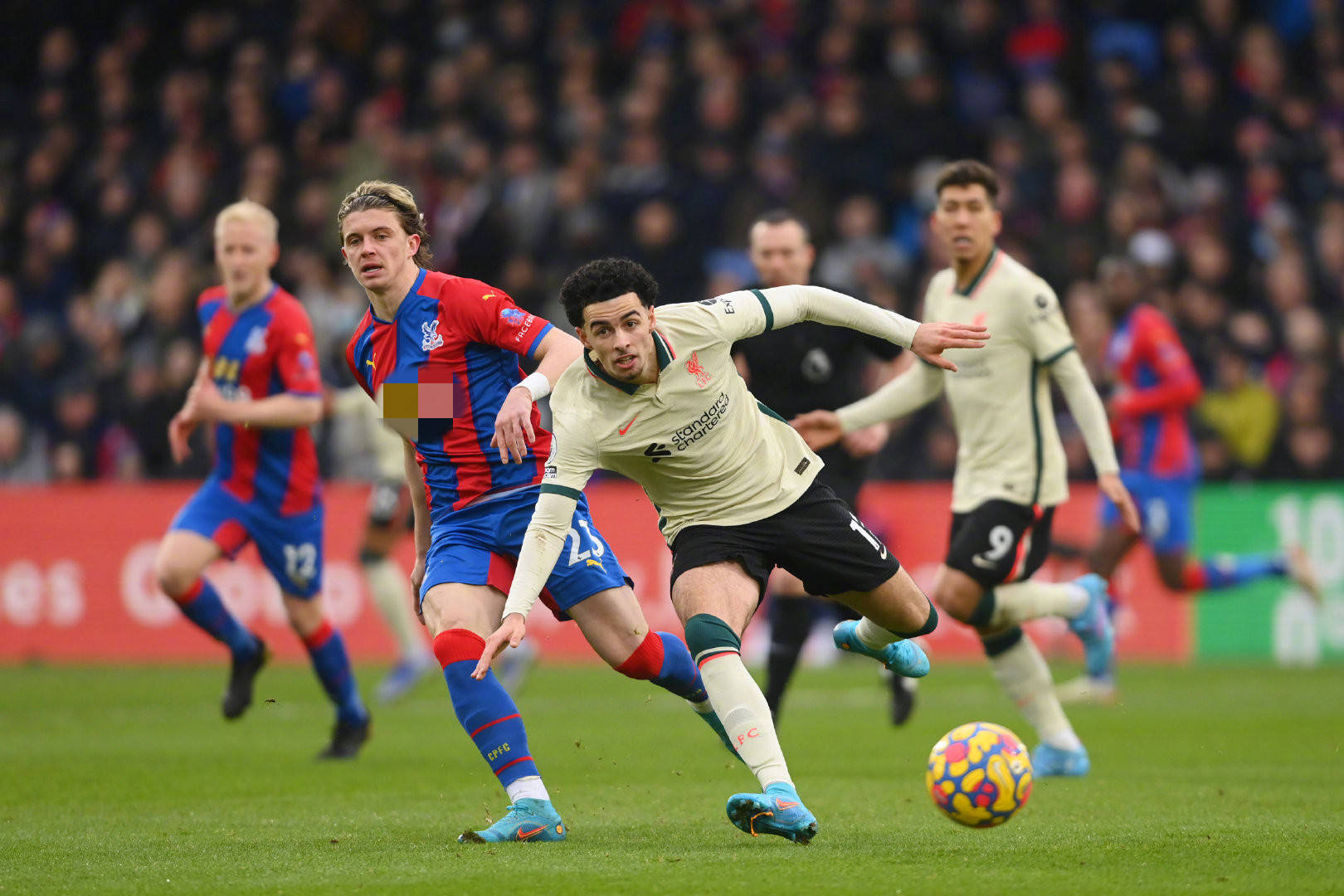 更印证了他 更印证了他