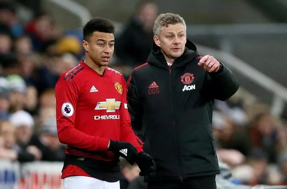 的音乐家 的音乐家